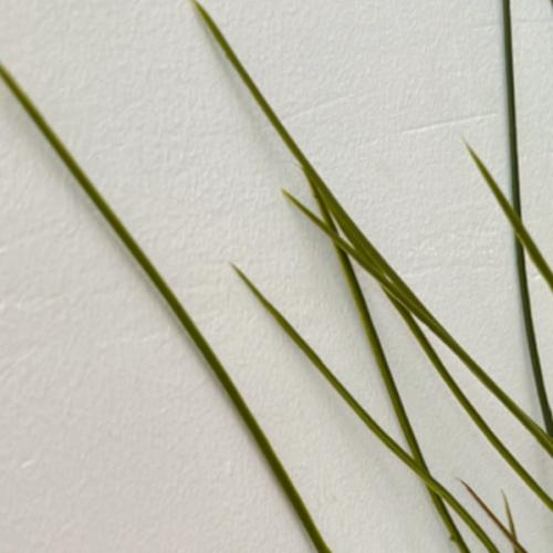 สมาชิกหมายเลข 7109663