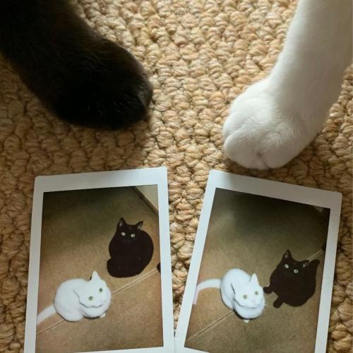 สมาชิกหมายเลข 6236587