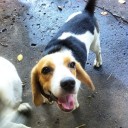 สมาชิกหมายเลข 3851048