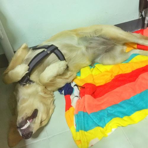 สมาชิกหมายเลข 3009413