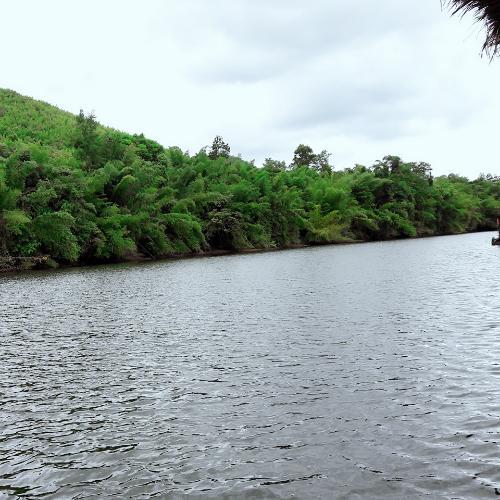 สมาชิกหมายเลข 4694730