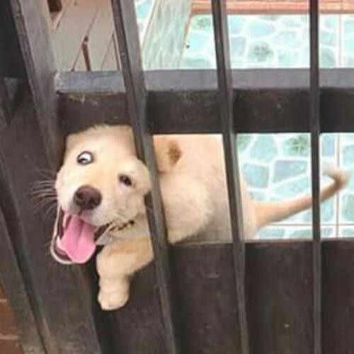 สมาชิกหมายเลข 5054683