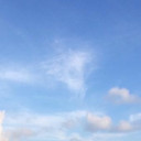 สมาชิกหมายเลข 2924279