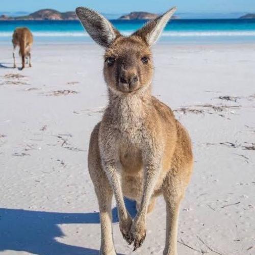 PaTTy-สาวออฟฟิตชีวิตลั๊ลลา