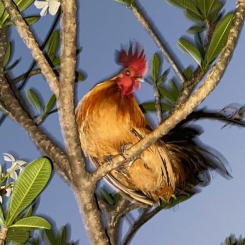 สมาชิกหมายเลข 5948254