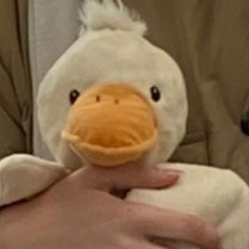 สมาชิกหมายเลข 6024779