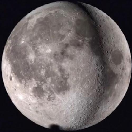 สมาชิกหมายเลข 6027974