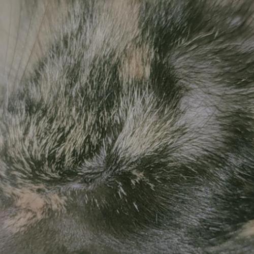 สมาชิกหมายเลข 6425627