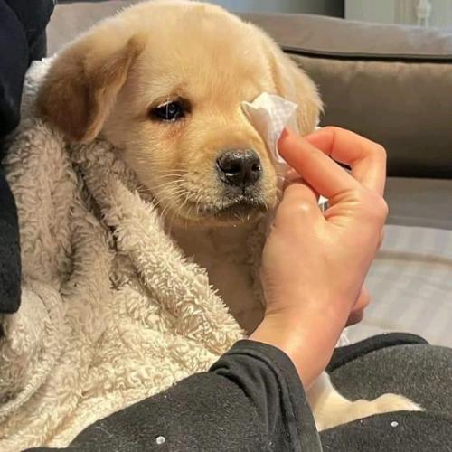 สมาชิกหมายเลข 7320582