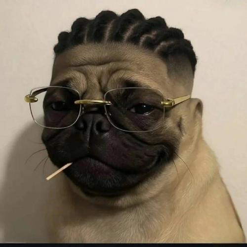 สมาชิกหมายเลข 8569574