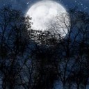 สมาชิกหมายเลข 3854552