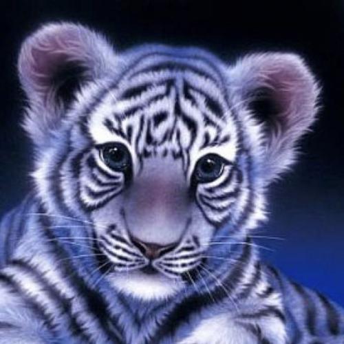 สมาชิกหมายเลข 2940634