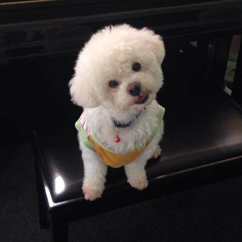 สมาชิกหมายเลข 4820252