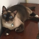 สมาชิกหมายเลข 5056375