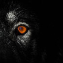 สมาชิกหมายเลข 5062264