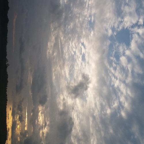 สมาชิกหมายเลข 4633841