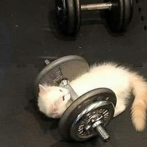 สมาชิกหมายเลข 5032179