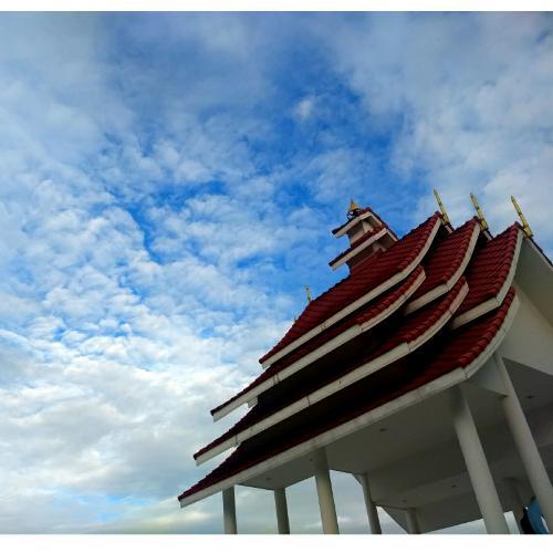 สมาชิกหมายเลข 5454878