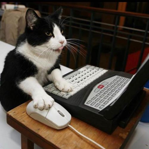 สมาชิกหมายเลข 4835055