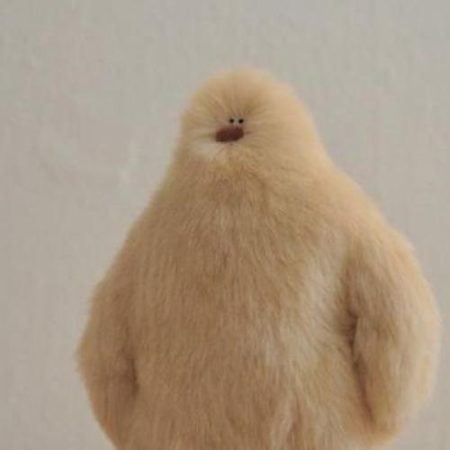 สมาชิกหมายเลข 5978401