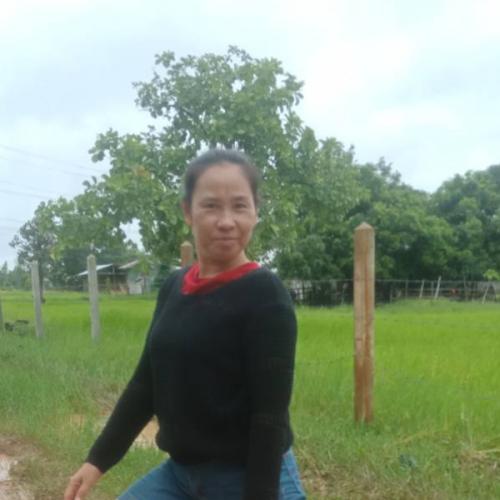 สมาชิกหมายเลข 2110082