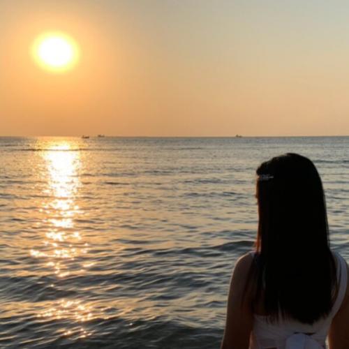 สมาชิกหมายเลข 6586805