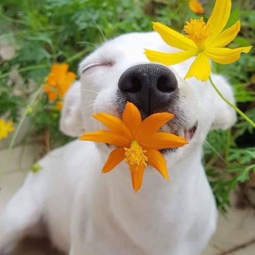 สมาชิกหมายเลข 7098291