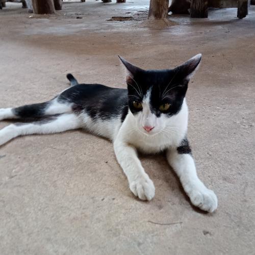 สมาชิกหมายเลข 6473409