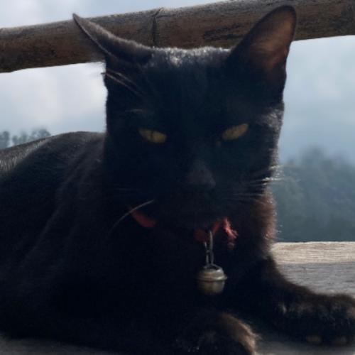 สมาชิกหมายเลข 7692683