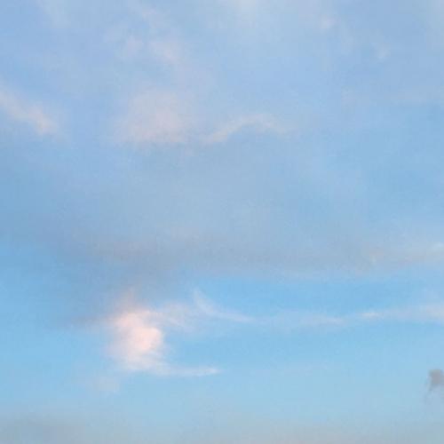 สมาชิกหมายเลข 8148140