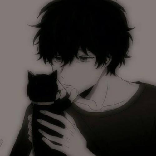 สมาชิกหมายเลข 8162185