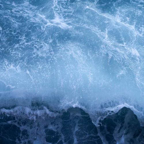 สมาชิกหมายเลข 4638907