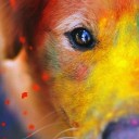 สมาชิกหมายเลข 1545194