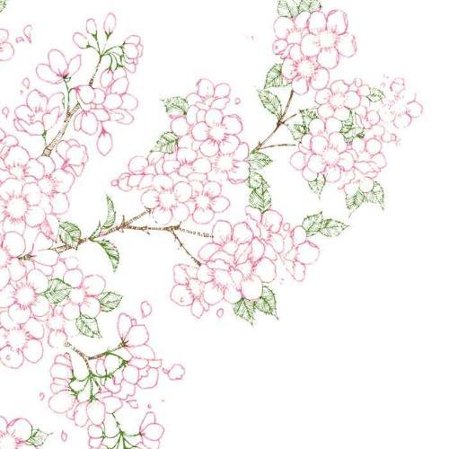 สมาชิกหมายเลข 1995465