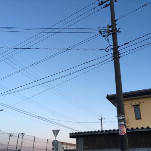 สมาชิกหมายเลข 3168187