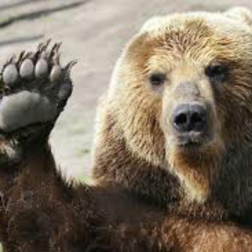 สมาชิกหมายเลข 5062221