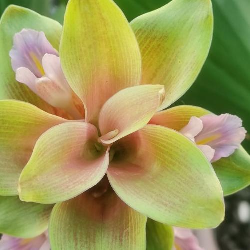 สมาชิกหมายเลข 3593378