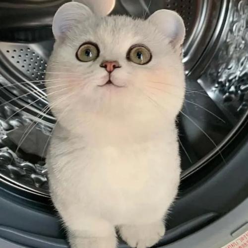 สมาชิกหมายเลข 2524180