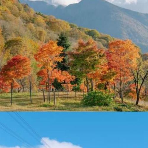 สมาชิกหมายเลข 6127578