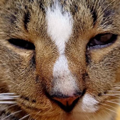 สมาชิกหมายเลข 6173247