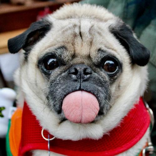 สมาชิกหมายเลข 5015835