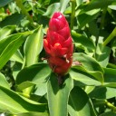 สมาชิกหมายเลข 884749