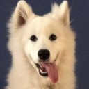 สมาชิกหมายเลข 4255643