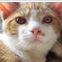 สมาชิกหมายเลข 4323039