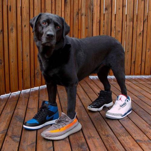 สมาชิกหมายเลข 3668011