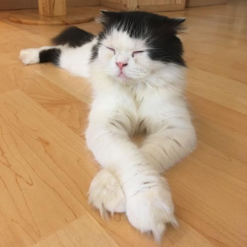 สมาชิกหมายเลข 3769214