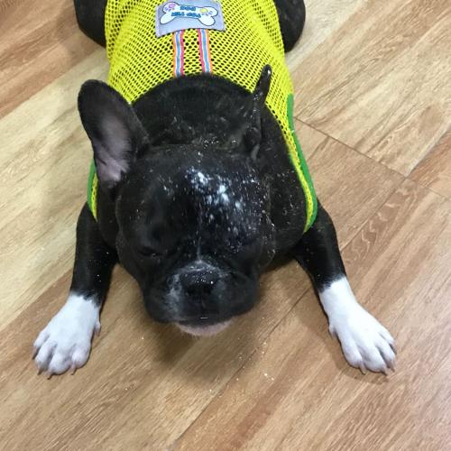 สมาชิกหมายเลข 1340613