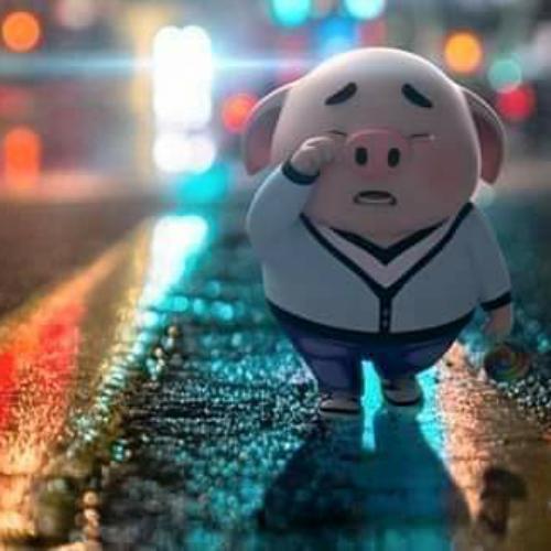 สมาชิกหมายเลข 5063148