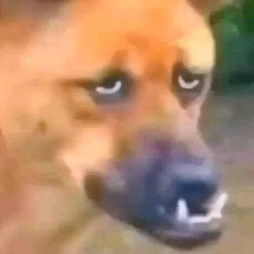 สมาชิกหมายเลข 4459340