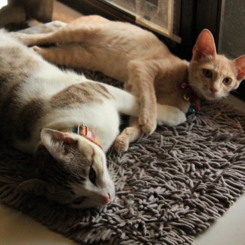 สมาชิกหมายเลข 5979157